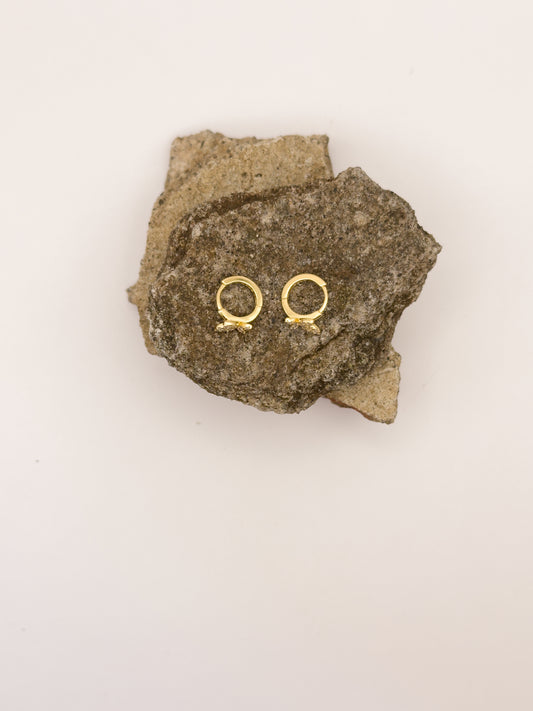 Aretes Alas de sol