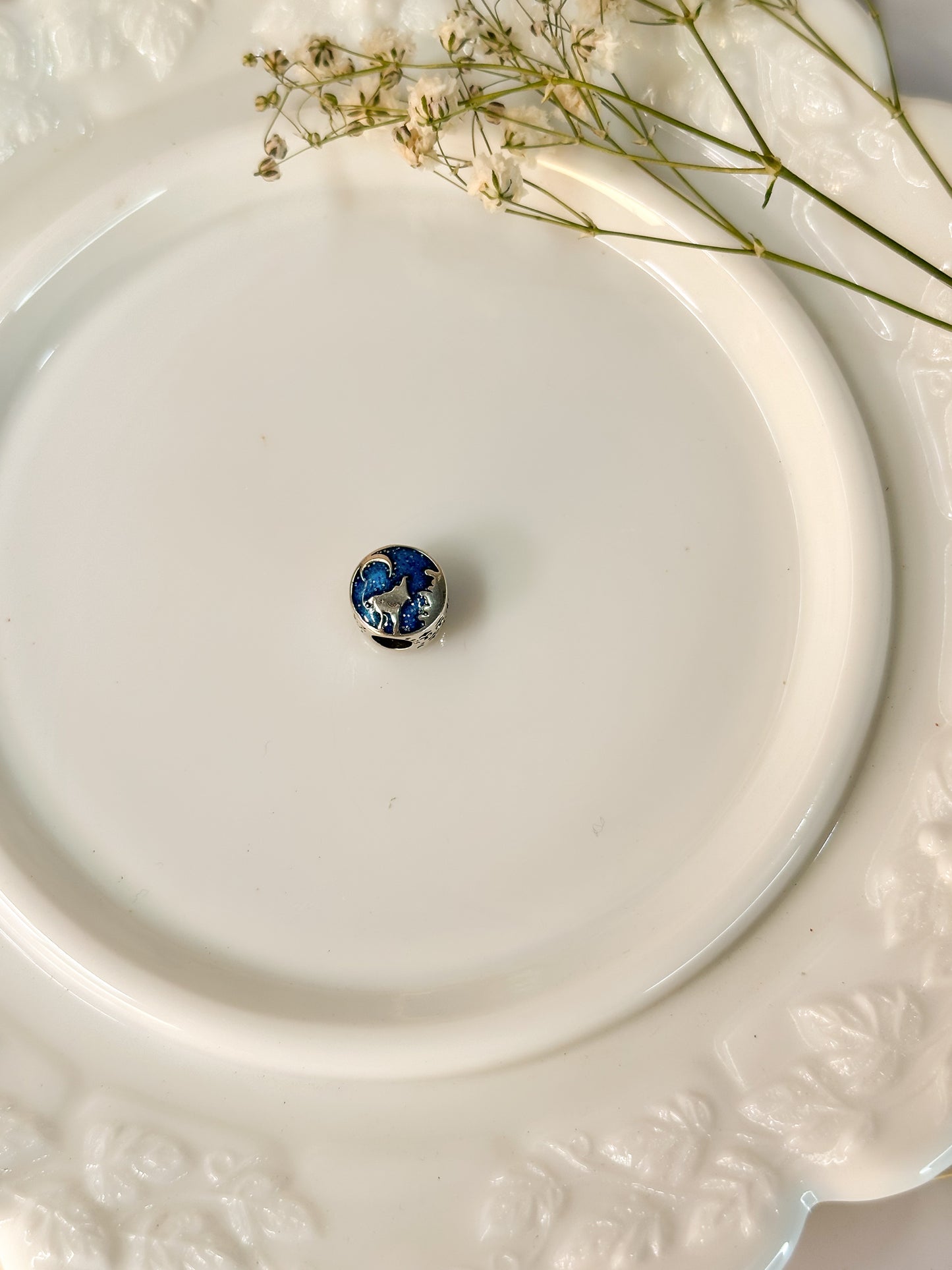 Charm Alfombra Mágica