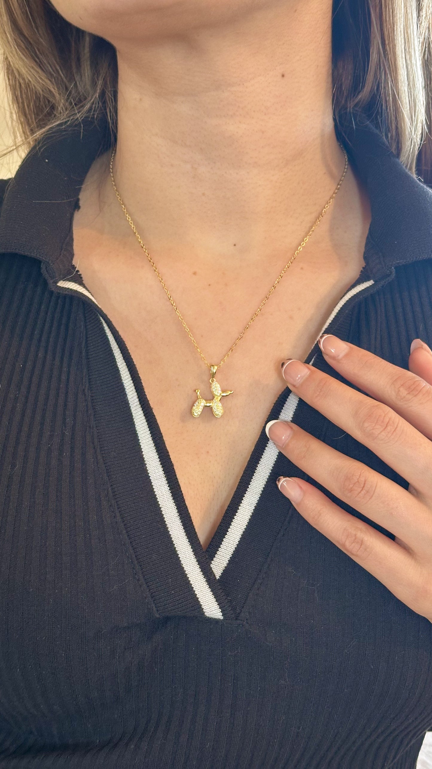 Collar Perrito Balloon