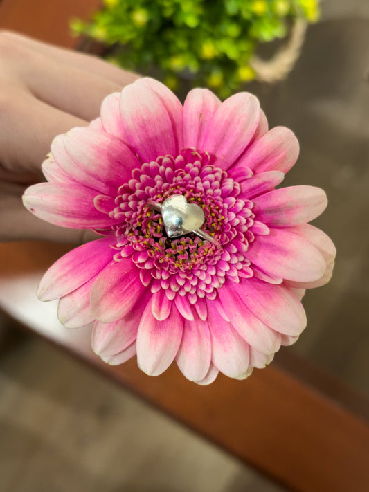 Anillo Melodía